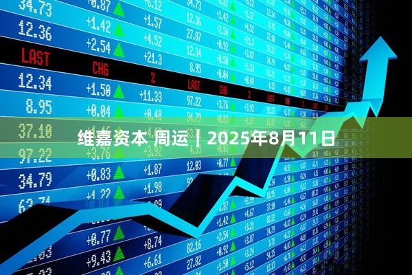 维嘉资本 周运｜2025年8月11日